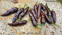 Bih Jolokia Black - Pepper Seeds - White Hot Peppers